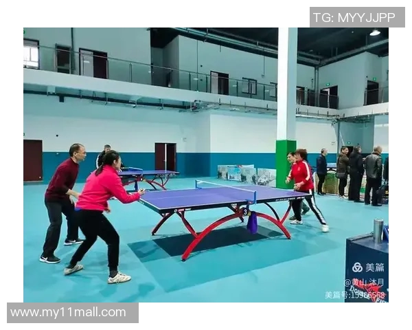 对话陈丽：回顾乒乓球生涯的辉煌与挑战与未来展望