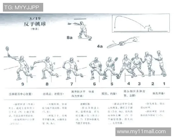 成都羽毛球队的整体压制揭秘与深度分析羽毛球运动的战术与技巧