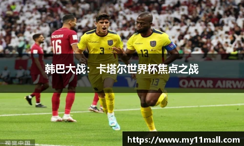 333体育全网直播