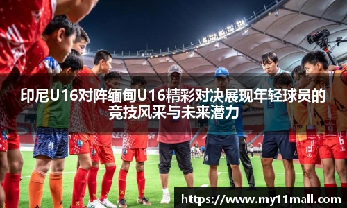 333体育直播网址