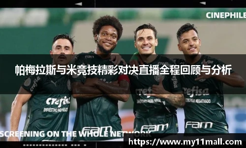 333体育全网直播